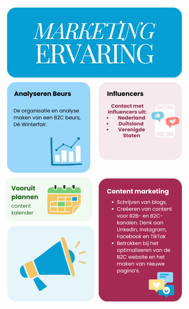 Infographic over mijn marketing ervaring tot nu toe.